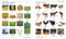 Korean - English Bilingual Visual Dictionary by DK, 9780593963463