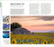 DK Provence and the Côte d'Azur by DK Travel, 9780241719633