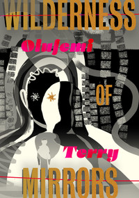 Wilderness of Mirrors by Olufemi Terry, 9781632063984