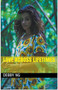Love Across Lifetimes by Debby Ng, 9781393067702