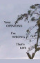 Your Opinions I'm Wrong That's Life by James Greene, 9781393429418