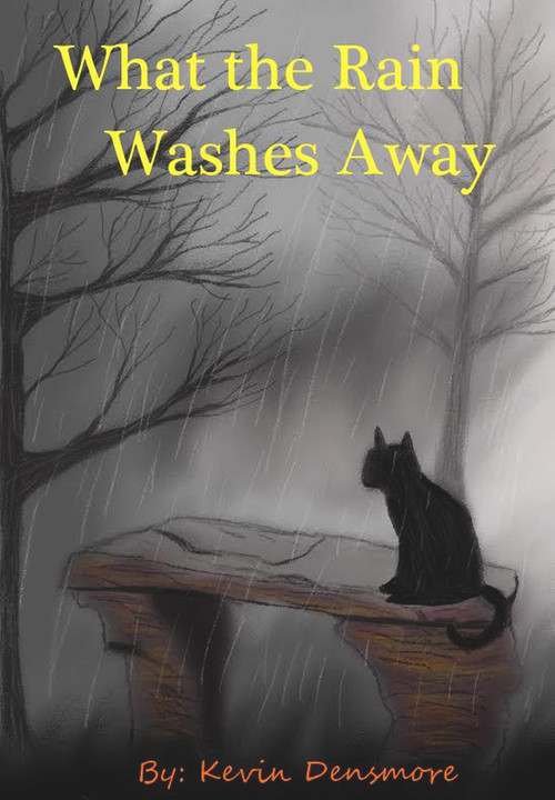 What the Rain Washes Away by Kevin Densmore, 9781393591696