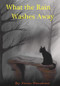 What the Rain Washes Away by Kevin Densmore, 9781393591696