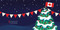 12 Little Elves Visit Canada by Trish Madson, Valeria Danilova, 9781641701624