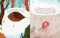 Snoozapalooza by Kimberlee Gard, Vivian Mineker, 9781641702553