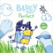 Bluey: Perfect (With a Wipe-Clean Card for Drawing) by Penguin Young Readers Licenses, 9780593888971