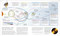 Exploration Map by Map (From Migrations and Encounters to Voyages and Discoveries) by DK, 9780593963593