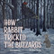 How Rabbit Tricked the Buzzards by Arvis Boughman, MaryBeth Timothy, 9781570674259