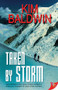 Taken by Storm - 9781626391895 by Kim Baldwin, 9781626391895