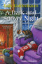 A Dark and Snowy Night - 9781496729415 by Sally Goldenbaum, 9781496729415