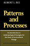 Patterns and Process by Robert L. Bee, 9780029020906