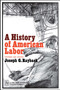 History of American Labor by Joseph G. Rayback, 9780029258507