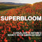 Superbloom (A Visual Ode to Nature's Bounty in the American West) by Mark Lisk, 9798893960228