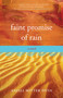 Faint Promise of Rain (A Novel) by Anjali Mitter Duva, 9781938314971