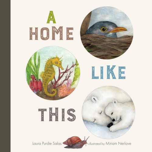 A Home Like This by Laura Purdie Salas, Miriam Nerlove, 9781568463995