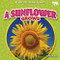 A Sunflower Grows by Rex Ruby, 9798892327770