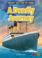 A Deadly Journey by Sarah Eason, 9798892329453
