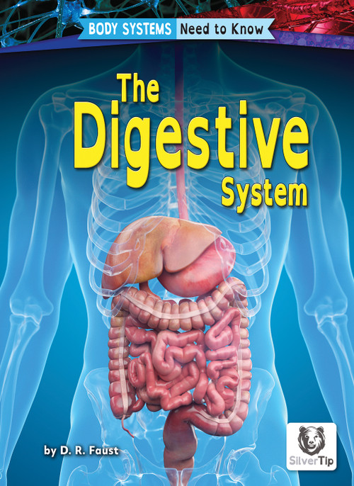 The Digestive System - 9798892329316 by D. R. Faust, N/A, 9798892329316