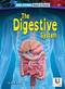 The Digestive System - 9798892329316 by D. R. Faust, N/A, 9798892329316