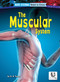 The Muscular System - 9798892329323 by D. R. Faust, N/A, 9798892329323
