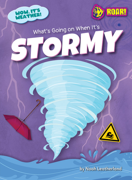 What's Going on When It's Stormy - 9798892329583 by Noah Leatherland, N/A, 9798892329583