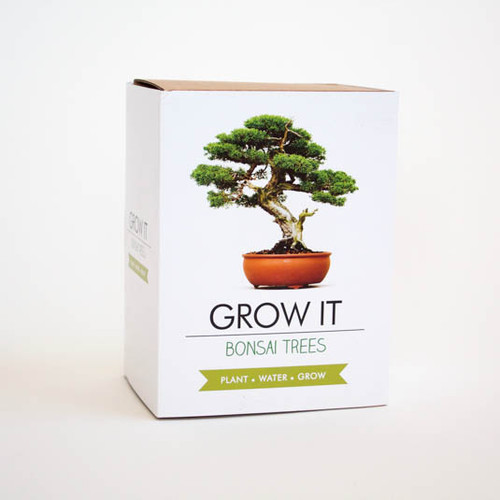 Bonsai Trees Grow It, GR200067
