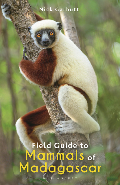 Field Guide to Mammals of Madagascar by Nick Garbutt, 9781472991676