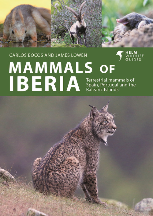 Mammals of Iberia (Terrestrial mammals of Spain, Portugal and the Balearic Islands) by Carlos Bocos Gonzalez, James Lowen, 9781399411936