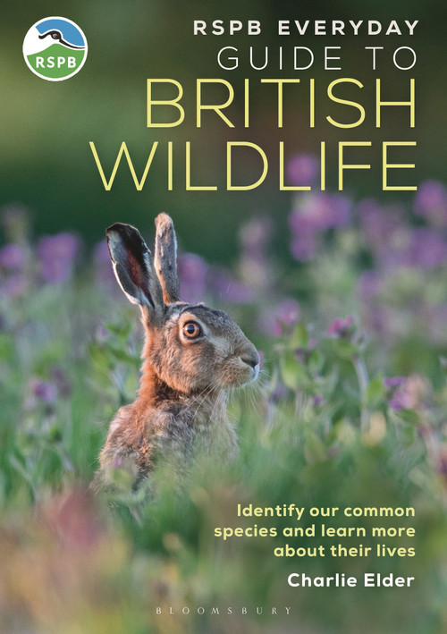 RSPB Everyday Guide to British Wildlife (Identify our common species and learn more about their lives) by Charlie Elder, 9781399413329