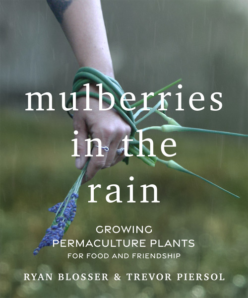 Mulberries in the Rain (Growing Permaculture Plants for Food and Friendship) by Ryan Blosser, Trevor Piersol, 9781774060032