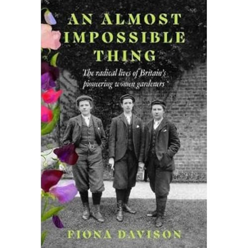An Almost Impossible Thing by Fiona Davison, 9781915068378