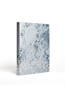 RE: Carrie Yamaoka by Carrie Yamaoka, Jill H. Casid, Jo-ey Tang, Josiah McElheny, Claire Grace, Elisabeth Lebovici, 9798890181114