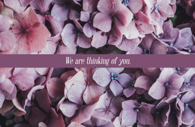 Concern Postcard: We Are Thinking of You (Package of 25) (Matthew 5:6 (KJV)) by Broadman Church Supplies Staff, 9781430092070