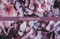 Concern Postcard: We Are Thinking of You (Package of 25) (Matthew 5:6 (KJV)) by Broadman Church Supplies Staff, 9781430092070