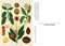 Arboretum Postcard Box Set by Tony Kirkham, Katie Scott, 9781536241570