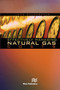 Effectively Managing Natural Gas Costs by John M. Studebaker, 9788770045858