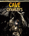 Cave Crawlers by Pam Rosenberg, 9781410941442