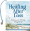Healing After Loss (Mini book) by Martha Whitmore Hickman, 9781441344878