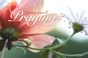 Inspirational Postcard: Thinking of You and Praying (Package of 25) by Broadman Church Supplies Staff, 9798384519379