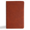 CSB Single-Column Personal Size Reference Bible, Burnt Sienna LeatherTouch by CSB Bibles by Holman, 9798384523628