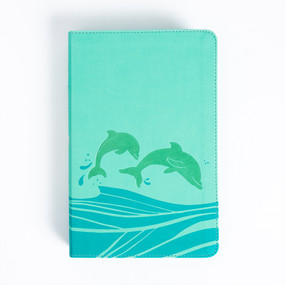 KJV Easy-for-Me Bible for Early Readers, Seafoam LeatherTouch by Holman Bible Publishers, 9798384523703