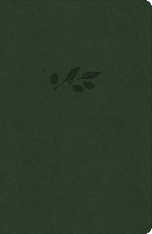 CSB Personal Size Giant Print Bible, Olive LeatherTouch, Indexed by CSB Bibles by Holman, 9798384525271