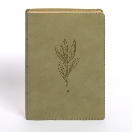 NASB Super Giant Print Reference Bible, Sage SuedeSoft LeatherTouch, Indexed by Holman Bible Publishers, 9798384525417