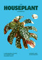 The Houseplant Handbook (A Beginner's Guide to Caring for Houseplants) by Alice Bailey, Maddie Bailey, 9781784887964