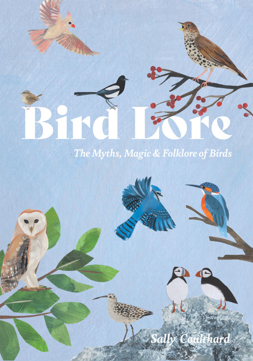 Bird Lore (The Myths, Folklore and Meaning of Birds) by Sally Coulthard, 9781837833061