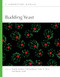 Budding Yeast: A Laboratory Manual by Charles Boone, Brenda Andrews, Stan Fields, Trisha N. Davis, 9781621820567