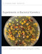 Experiments in Bacterial Genetics: A Laboratory Manual by Lionello Bossi, Andrew Camilli, Angelika Gründling, 9781621824497