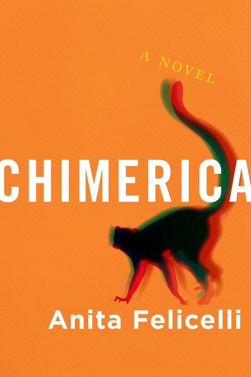 Chimerica (A Novel) by Anita Felicelli, 9781732982017