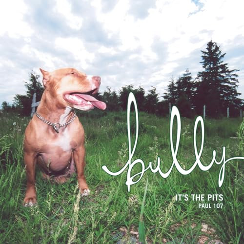 Bully (It's the Pits) by Paul 107, 9781550226638