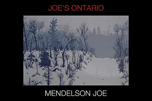 Joe's Ontario by Mendelson Joe, Silcox David, 9781770410985